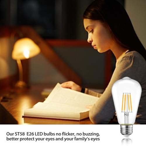 Image of 6 Packs ST58 LED Edison Bulbs, 4 Watt Vintage Light Bulbs Equivalent to 40 Watts, 2700K Warm White Antique Decorative Light Bulbs, 90+ CRI, 480 Lumens E26 Base LED Bulbs, Clear Glass, Dimmable