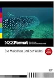  Die Malediven und der Walhai - NZZ Format