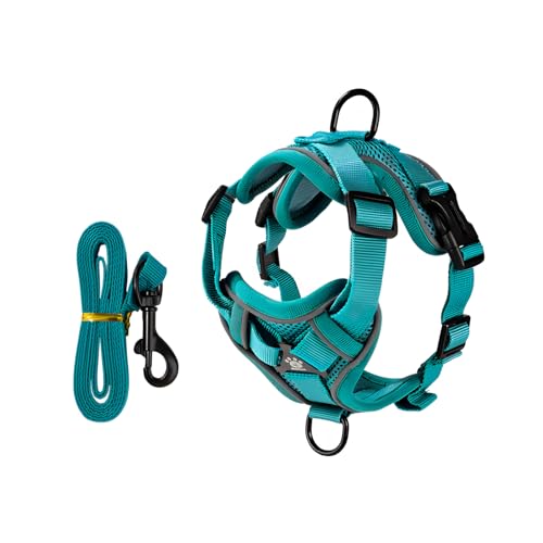 Soft Substance Pet Harness Pressure Complimentary Comfort 3D Net Plan Wrap Feeling Tight Any Activity Sandwich Net Rope