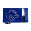 Boise State Broncos