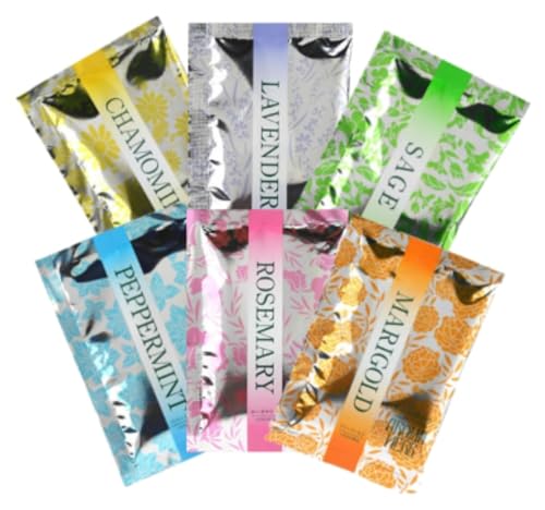  A}n[u ̕ 6Zbg  lߍ킹 { (6×e2 v12)