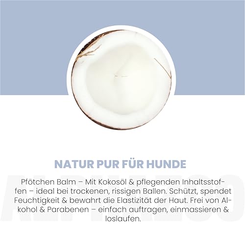 alphazoo Big Paw-ty Pfotenstick 25 g - Pfotenpflege für Hunde - Pfotenbalsam gegen trockene Pfoten - Schutz vor Kälte, Streusalz & Austrocknung - natürliche Pflege mit Kokosöl, Sheabutter & Aloe Vera