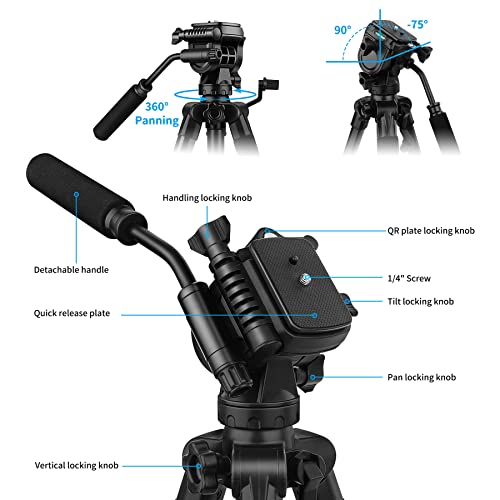 Tripod, 73 Inch Tripod For Camera 15 Lbs Loads With Fluid Head, 2 Quick Release Mounts And Tablet & Phone Mount #TOP7