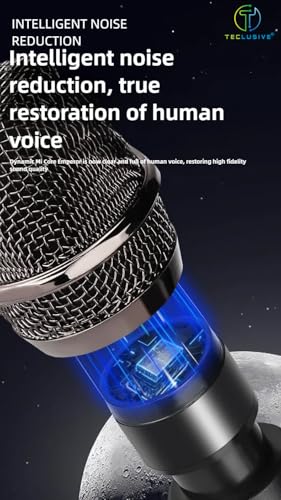 Image of T TECLUSIVE Wireless Microphone Professional for Speaker 6.35mm Amplifier Outdoor Karaoke Singing | Noise Cancellation | Dual Rechargeable Type-C 10Hours Battery Mic with Transmitter