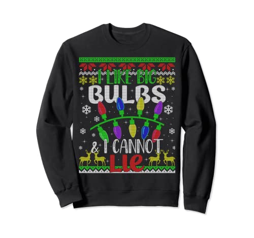 Funny Christmas Lights I like Big Bulb Family Ugly Sweater Sudadera