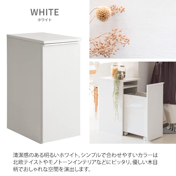 Amazon｜ゴミ箱 ごみ箱 ダストボックス 45L キッチン リビング スリム