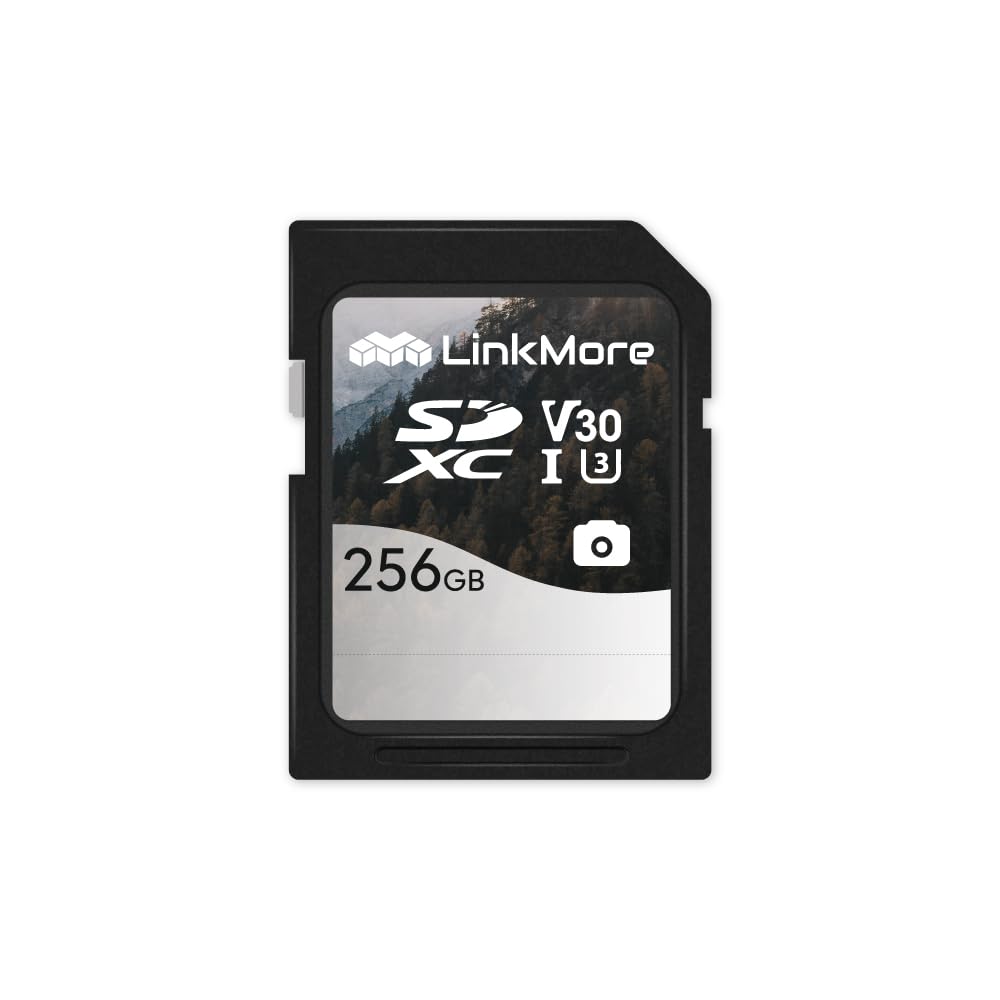 LinkMore - Tarjeta de memoria SDXC de 256 GB, tarjeta SD UHS-I U3 V30, clase 10, lectura de hasta 95 MB/s, escritura de hasta 60 MB/s, para cámara, videocámara y ordenador (Mist SD3C)