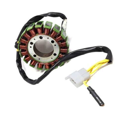 Plus de panne de batterie avec le stator 18 pôles 250CC CN250 pour ATV