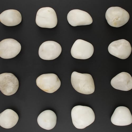 Image of 20lbs River Rocks - 1-2Inch Decorative Rocks for Potted Plants, River Rocks for Aquariums, and White Rocks for Landscaping (Weight : 20 LB, White)