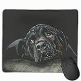 rassehundeausstellung gießen 2019 Für Alle Arten Von Maus, LASER & OPTICAL.Ideale Größe Für Den Täglichen Gebrauch.