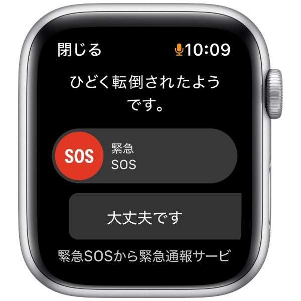 Amazon.co.jp: 【整備済み品】 Apple Watch SE (GPSモデル) Nike+ 40mm 
