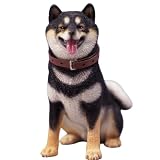 HiPlay JXK Collectible Dog Figure: Sitting Shiba Inu, Expertly Hand-Painted, Lifelike, Safe Resin, 1:6 Scale Miniature Animal Figurine JXK075A