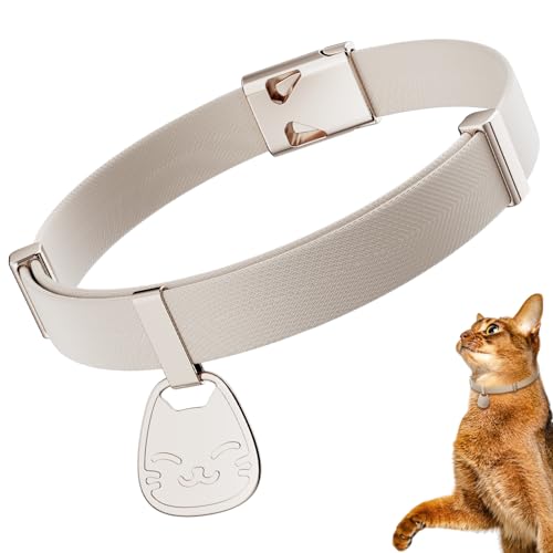 Breakaway Collar – The 15 best products compared - Wild Explained