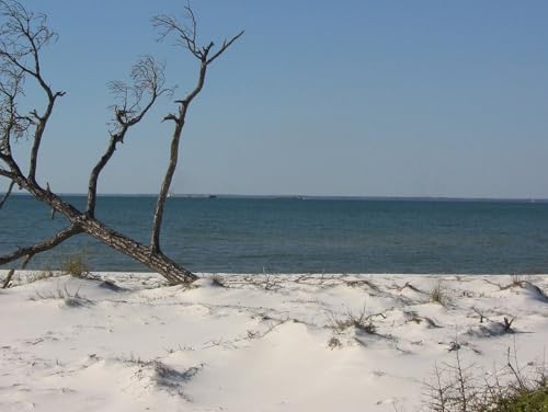 Daily Bible Reading - Wednesday, December 24