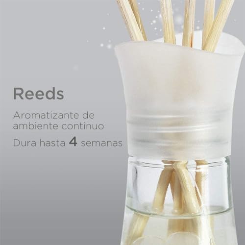 Hogar, Drugstore Imagen adicional