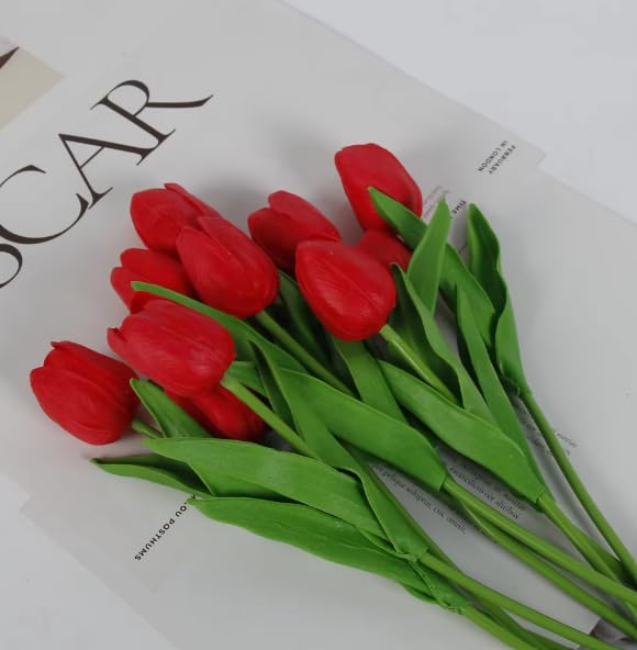 Artificial Tulip Flower Sticks for Gifting, Vase, Home, Bedroom, Garden, Balcony, Living Room Bedroom Table, Raksha Bandhan Decoration, Birthday Gift for Girls, Womens and Friends (Red, 5) (B0D92XRTT6) Amazon Price History, Amazon Price Tracker