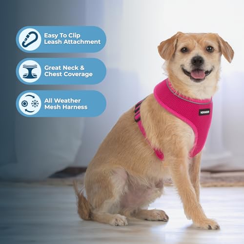 Image of Best Pet Supplies Voyager Aerolite Over the Head Dog Harness, No Pull Breathable Air Mesh Vest, Quick Dry with Reflective Stitching, Adjustable Escape Resistant Harness - Fuchsia, Small