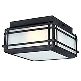Westinghouse 6123600 Devyn Transitional Two Light Flush Ceiling Fixture, Textured Black Finish, Frosted Seeded Glass
