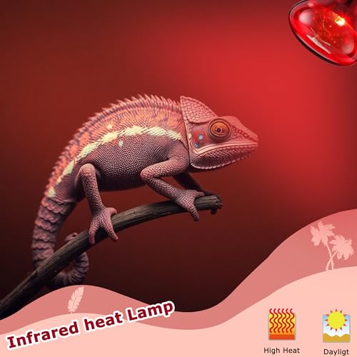 Image of 60W Red Infrared Heat Lamp Bulb for Reptiles - Basking Spot Light for Lizards, Bearded Dragons, Snakes & Chicks, Ideal E26 Heater for Terrariums, Chicken Coops & Brooders | 2 Pack