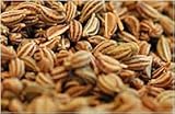 500 g | Ganze AJWAIN Bishops Caroms Thymol Liebstöckel-Samen, Coliks, Schmerzen, Kräuter, Backen, Kochen, Gewürz