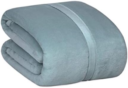 Berkshire Serasoft Plus Plush Polyester Blanket (Twin, Mineral)