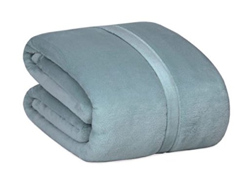 Berkshire Serasoft Plus Plush Polyester Blanket (Twin, Mineral)