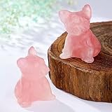 rete8 sport cuccioli e campioni Può essere abbinato a gonne, abiti, camicie, cappotti di diversi colori. Ti rende più affascinante ogni giorno.