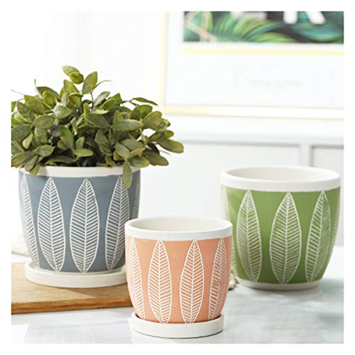 Pots de fleurs avec trou de drainage pour éviter l'excès d'eau - 6