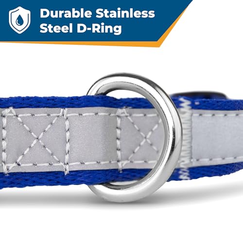 Image of GoTags Reflective Personalized Dog Collar, Custom Engraved with Pet Name and Phone Number, Adjustable Dog Collar with Quick Release Buckle, 3 Sizes for Puppy and Dogs, Small, Medium and Large