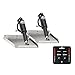 LENCO Marine 15014-101 9X12 EDGE MOUNT KIT Plus LENCO 15170-001 LED Integrated Tactile Switch