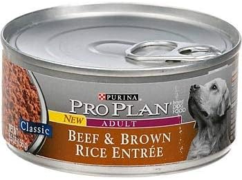 381703 Pp Class Beef-Brown Rice Dog 24-5.5 onzas, paquete de 24