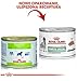 Royal Canin Veterinary Diabetic Special Low Carbohydrate Canine Mousse | 12 x 195 g | Nassfutter für ausgewachsene Hunde | Regulierung des Blutzuckerspiegels | Hoher Proteingehalt