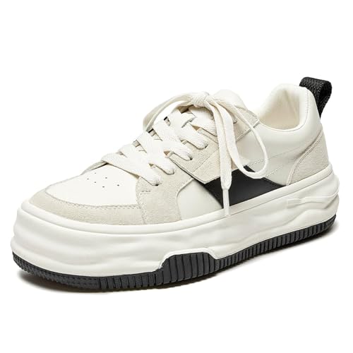 BEAU TODAY fB[X vbgtH[ Xj[J[ U[ t@bV Xj[J[ p [XAbv K 킢 ejXV[Y JWA EH[LOV[Y, x[WubNB, 24.0 cm