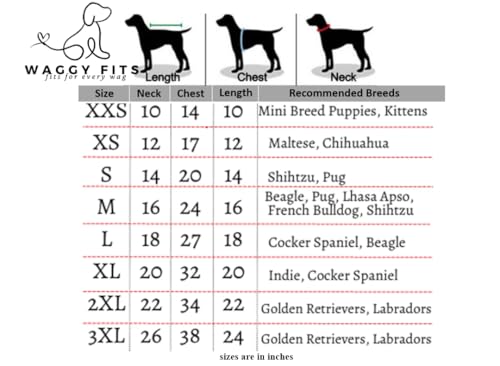 Sherwani Tradicional para Perro Azul XX-Small miniatura 4