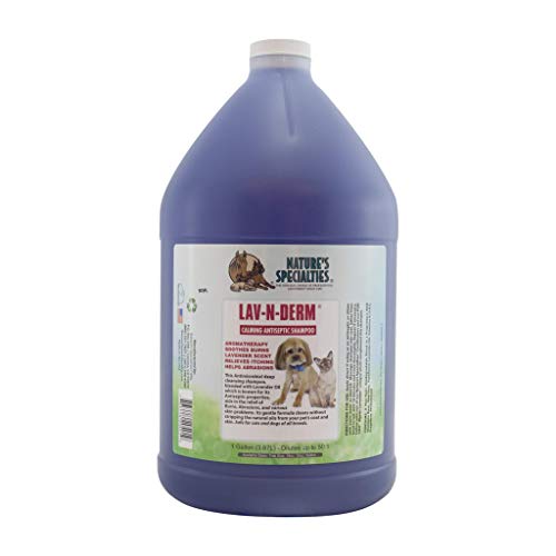 Nature s Specialties Anti-Microbial Medicated Dog Shampoo for Pets, Concentrate 50:1, Made in USA, Lav-N-Derm, 1gal