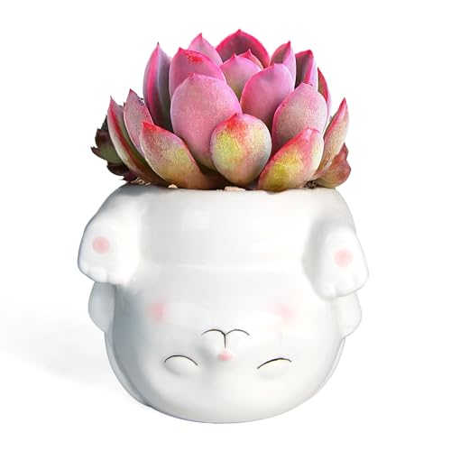 Cute Rabbit Ceramic Succulent Planter