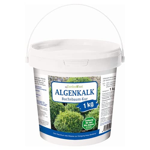 ᐅ Algenkalk Für Den Buchsbaum - Zeitpunkt Und Dosierung