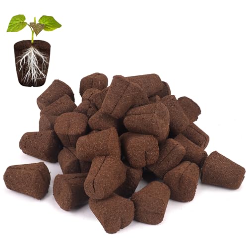 LAPOND 50 Pcs Grow Sponges Replacement Plant Starter Plugs for Cuttings and Propagation Great for Soil Tray or Planting Pods Promotes Herbs Vegetables and Flowers Growth
