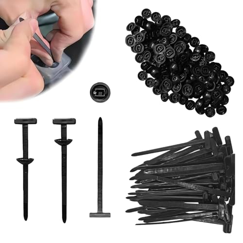Amazon Best Sellers: Best Automotive Clips