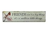 Nostalgisches Schild Friends isnt a big thing its a million little things