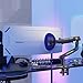 NB Gaming Monitor Arm for Screen up to 60 inches, Holds 44 lbs(20 kg), VESA 75/100, RGB Light, Heavy Duty Monitor Stand, Aluminum Ultrawide Screen Mount Height Angle Adjustable Grey Black