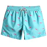 maamgic Mens Swim Trunks 5' with Mesh Lining Quick Dry Bathing Suits for Men Swim Shorts Swimwear Large