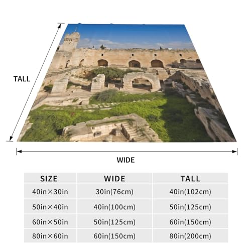 Couverture micro polaire Israël douce légère chaude pour canapé - 6