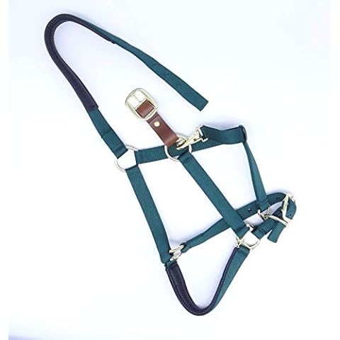QiK Sports Horse Halter - Padded Nylon, Leather Breakaway, Adjustable Chin and Throat Snap - Full Horse Size (Green) Cover