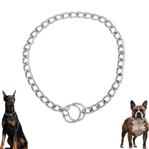 Collare a Strozzo per Cani in Argento, Catena Scorrevole in Metallo Resistente Collare da Addestramento Martingala per Cani di Taglia XS Piccola Media e Grande (Taglia M)