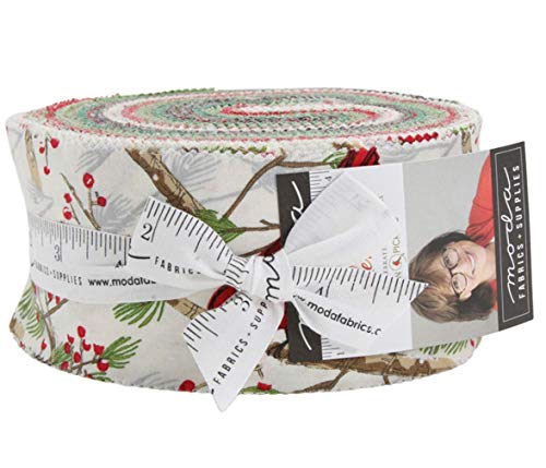Splendid Jelly Roll 40 2.5-inch Strips by Robin Pickens for Moda Fabrics Splendid Jelly Roll 40 2.5-inch Strips by Robin Pickens for Moda Fabrics
