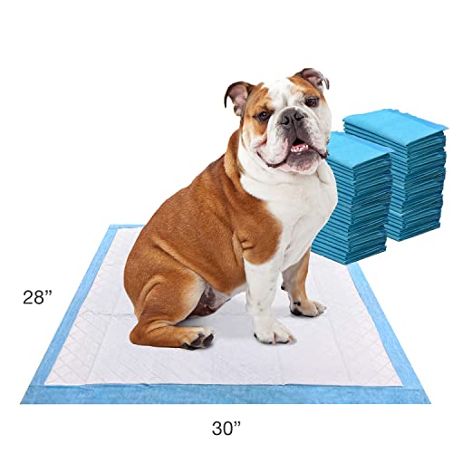 Four Paws Wee-Wee Odor Control With Febreze Freshness Pee Pads For Dogs - Dog & Puppy Pads For Potty Training - Dog Housebreaking & Puppy Supplies - 22" X 23" (50 Count),White #TOP6