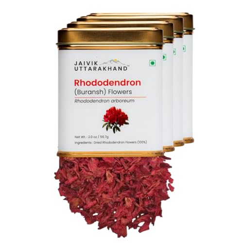 Image of Jaivik Uttarakhand - Buransh Petals Tea (226.8 g), Caffeine-Free, Rich in Antioxidant, Immunity Booster, Nourishes skin, Pack of 4 Tin Box