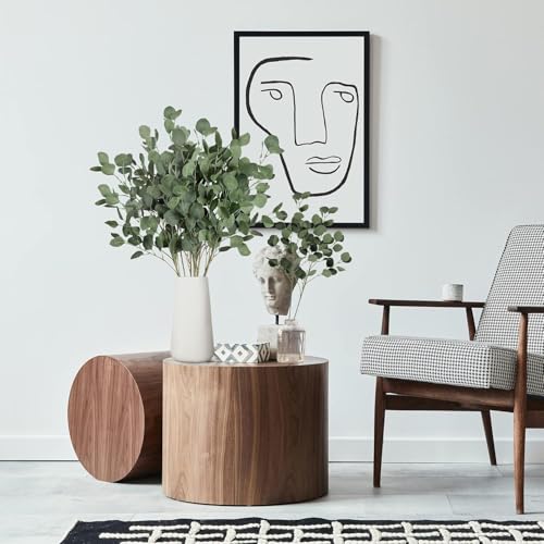 Hojas secas Kitchen 11 Imagen adicional