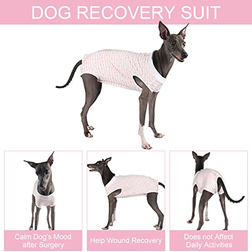 Image of Dog Surgery Suit Female Spay Recovery Suit for Dogs Surgical Recovery Suit for Female Dog Neuter Suit Male Dogs Onesie for Surgery Fits Small Medium Dog